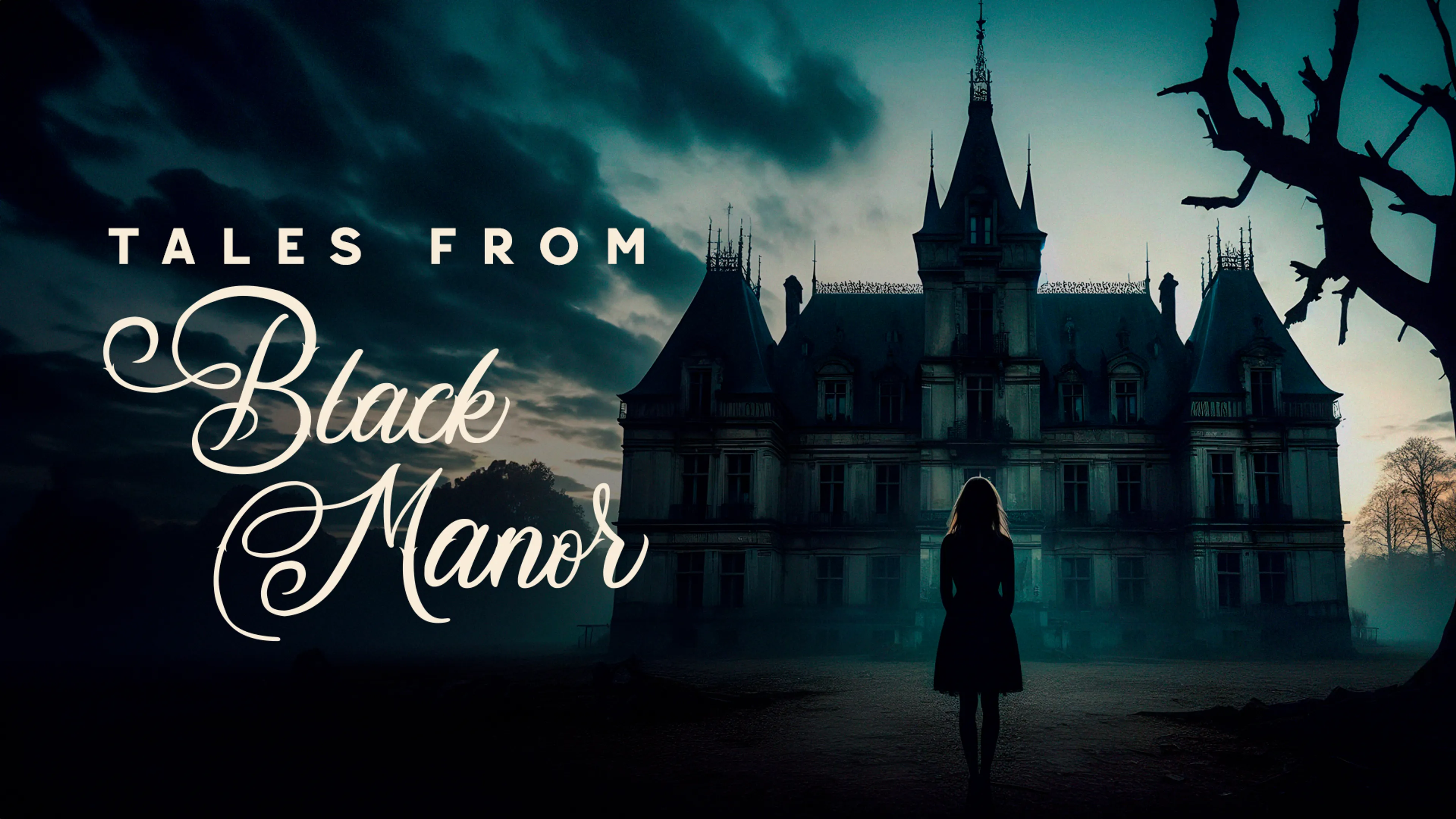 Tales From Black Manor poster